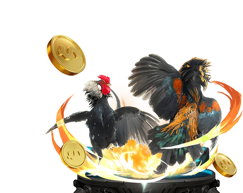 Luật chơi và kèo đá gà